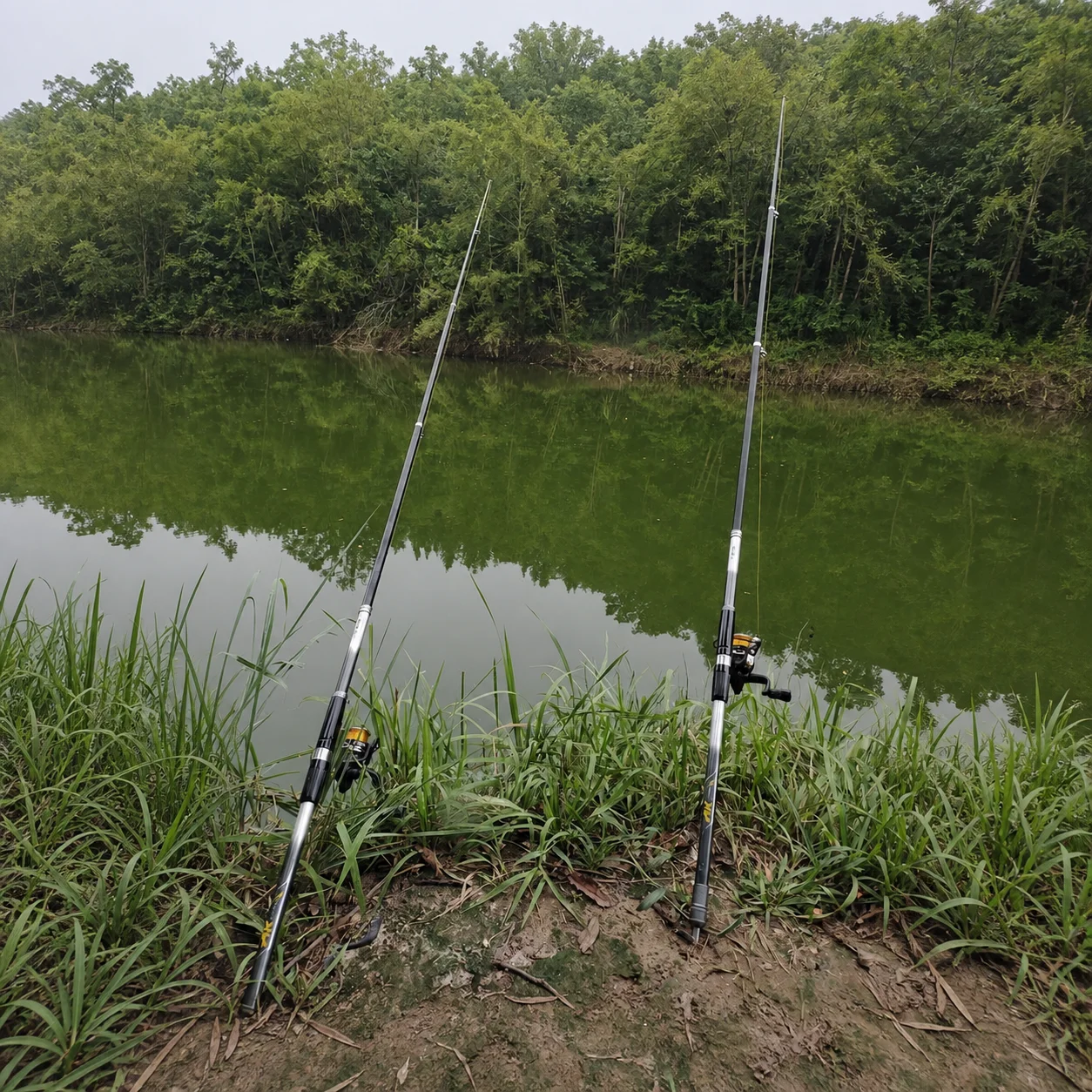 Fiberglas Teleskopik Sörf Olta - Fishing Rod Surf incelemesi ve fiyatı