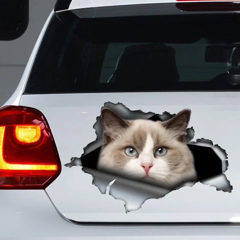 

Наклейка на автомобиль с изображением кота Ragdoll, магнит с изображением кота Ragdoll, наклейка с изображением кота Ragdoll