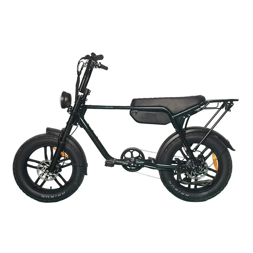20*4 Inch Fat Tire Electric Bike 36V 750W Mountain E-Bike with Removable Lithium Battery, Hydraulic Disc Brakes for Adults - view 6