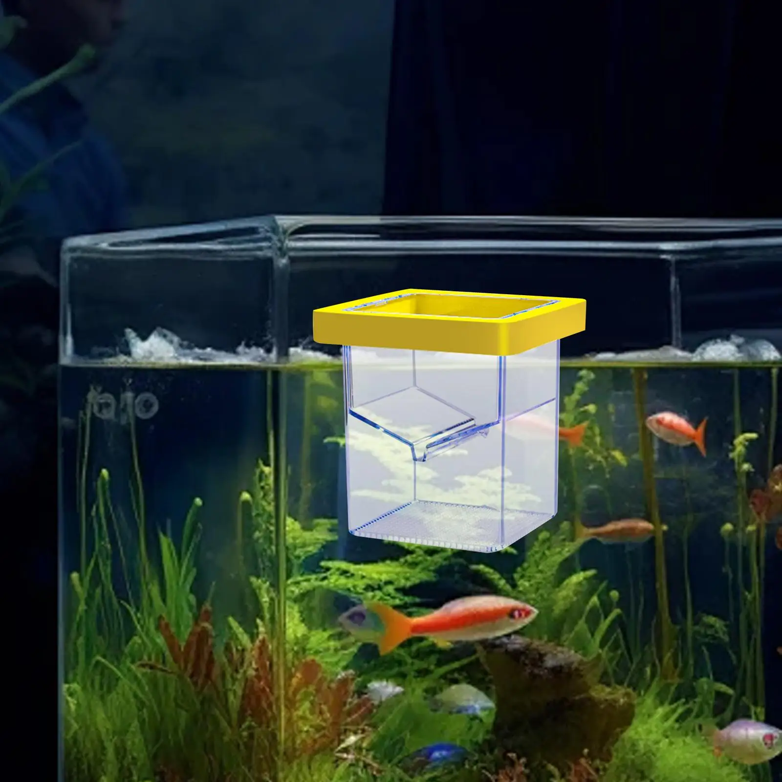 Aquarium Fokker Box Drijvende Acryl Scheiding Vierkante Aquarium Uitkomen Incubator Isolatie Box Uitkomen Doos voor Baby Vissen