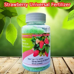 100g Strawberry Fertilizer Supplemental Plant Nutrition Hydroponics Universal NPK Balanced For Home Garden Bonsai