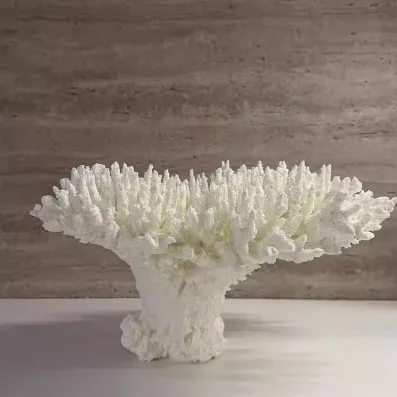 

Ornaments Modern Minimalist Minimalist Geometry Simulation Coral Resin Living Room Bookcase Decorative Art Home