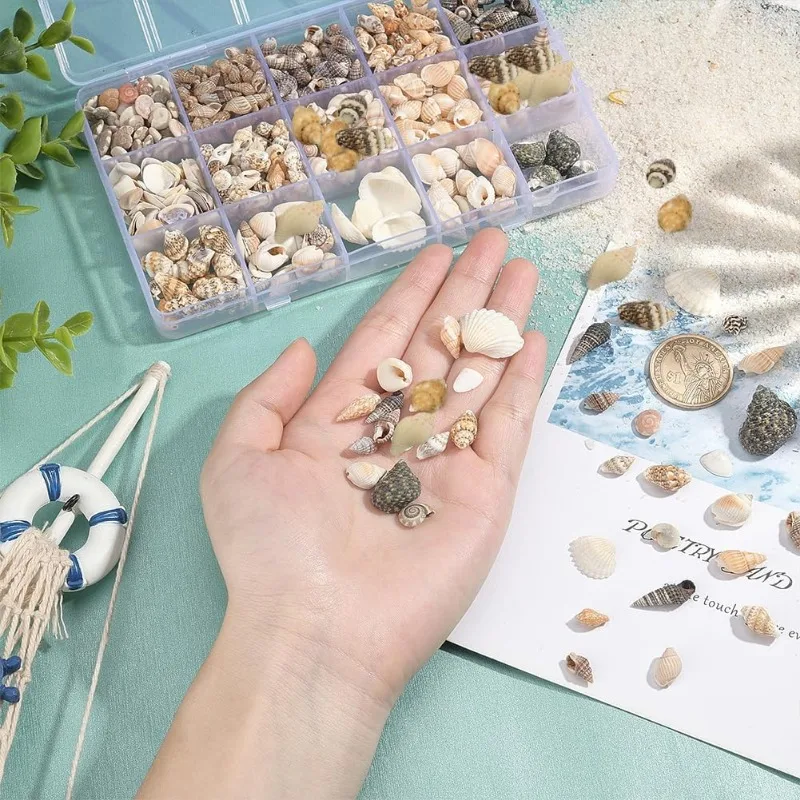 Sea Shells 466pcs 15 Style Spiral Shell Beads Undrilled Tiny Sea Shell Ocean Spiral Seashells Miniature Shells