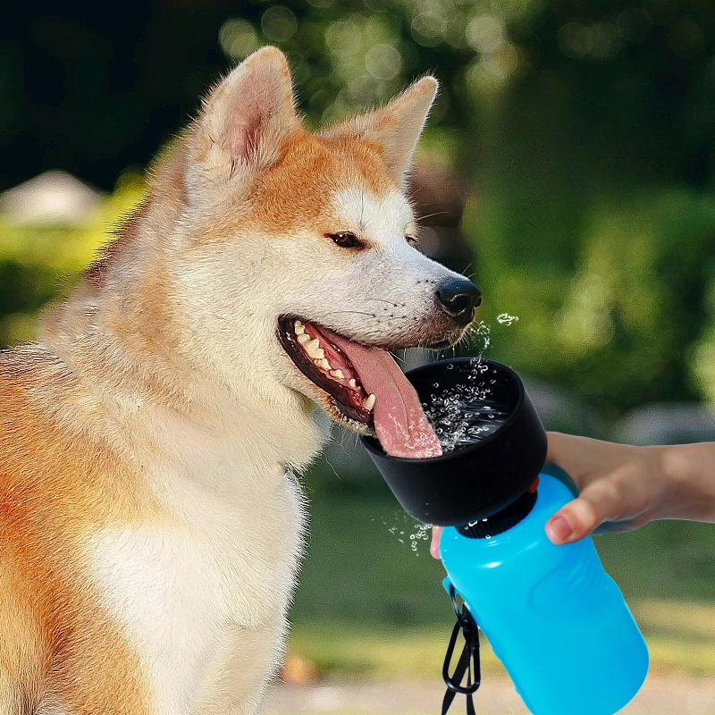 New Portable Pet Water Bottle Sports Squeezed Dog Water Cup Cat Water Dispenser Pet Accompanying Cup for Travel Dog Water Bottle