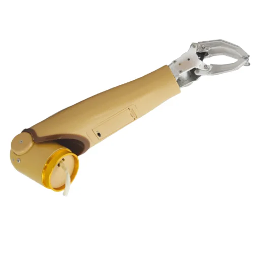 

SJS22 Myoelectric Arm Prosthetic with Two Degrees of Freedom for AE