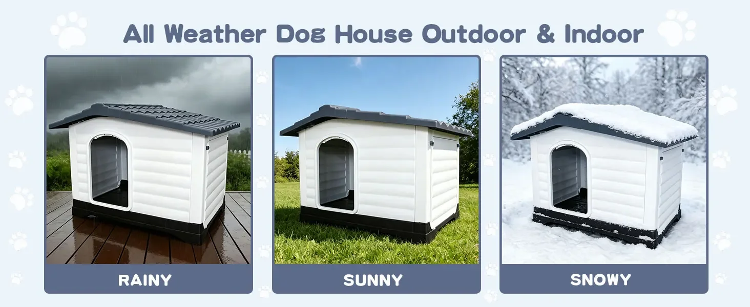 dog house