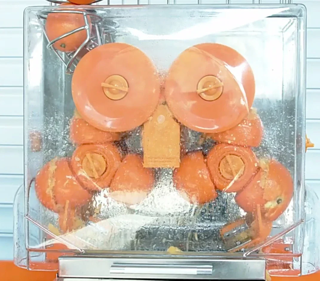 오렌지 시트러스 주스 착즙기 추출기, 오렌지 착즙기 압착기