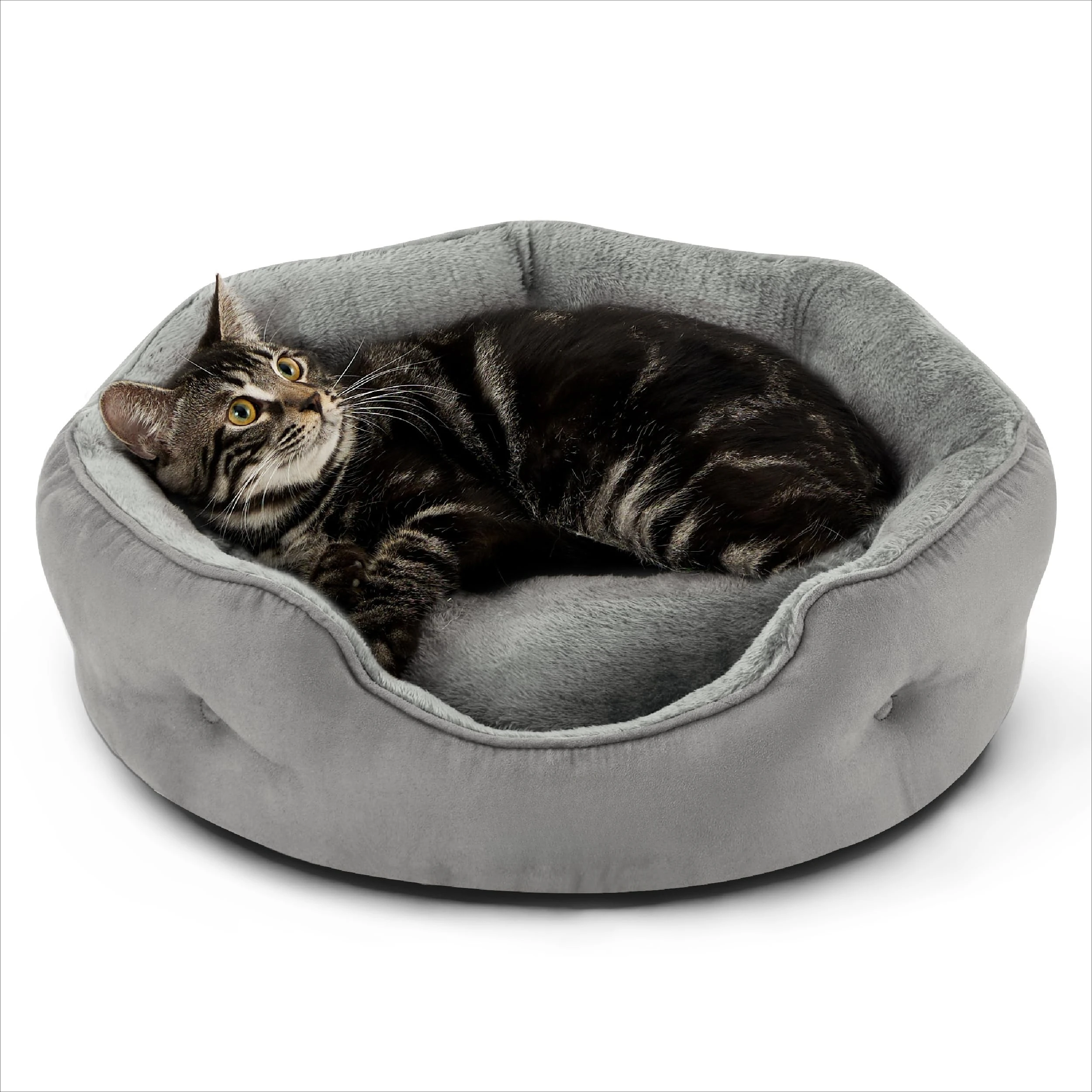 

Bedsure Dog Beds for Small Dogs -Round Cat Beds for Indoor Cats,Washable Pet Bed for Puppy and Kitten with Slip-Resistant Bottom