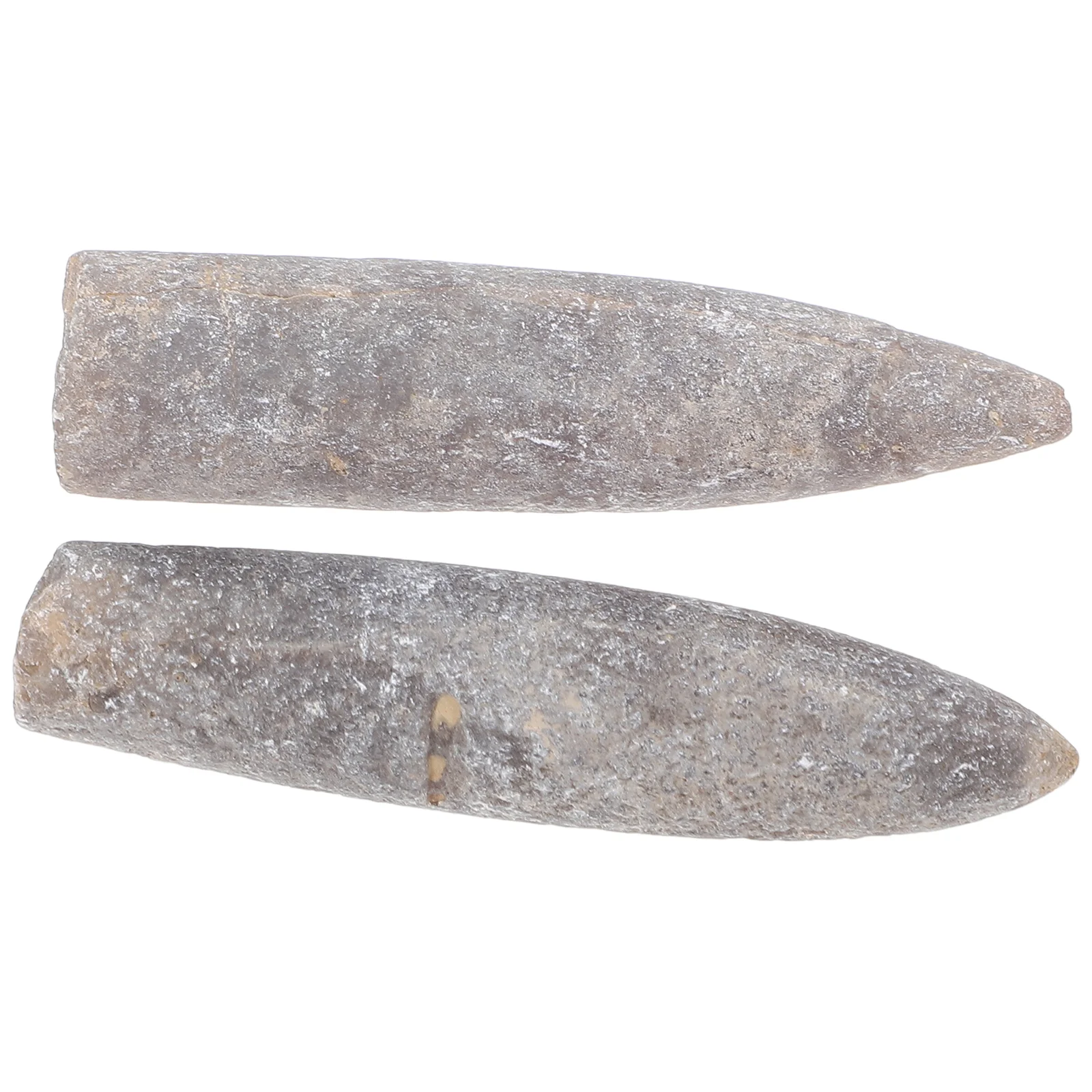 2pcs Natural Specimen Belemnite for Teaching and Home Decor Geology Enthusiast Adornment Authentic Belemnite Fossi