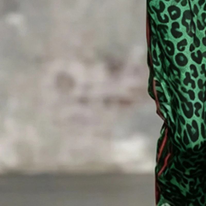 

Leopard Print V-Neck Short Sleeve Top & High Waist Wide Leg Pants 2PCS Set Women's Summer Streetwear Matching Set