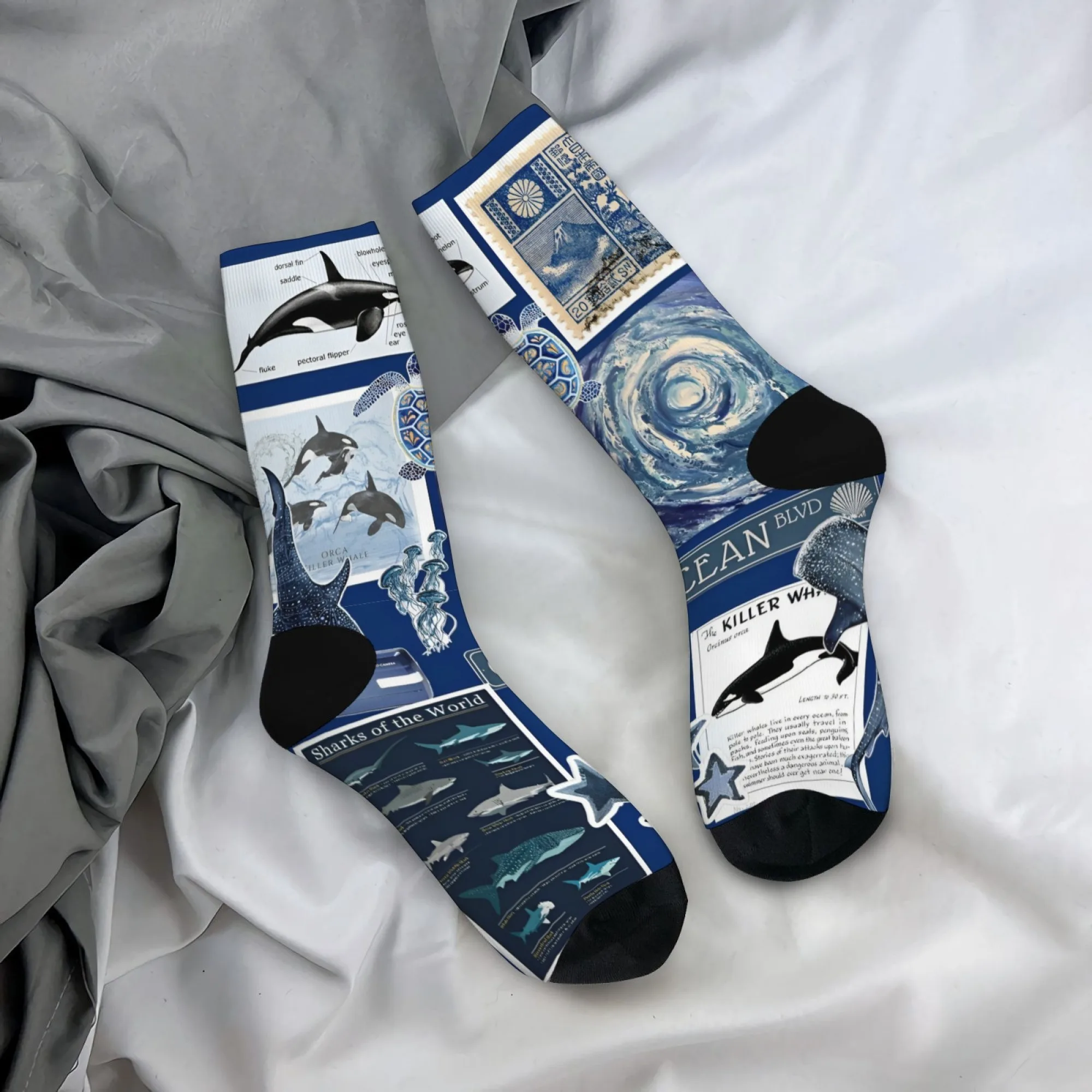 海洋愛好家のための教育ギフト 靴下 レトロな科学イラストスタイルのスタンプシールデザイン ユニークなノベルティソックス