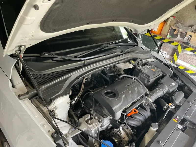 

1 Set Gas Struts For Hyundai i30 PD Elantra GT 2016-present Front Hood Bonnet Lift Support Damper Shock Absorber Prop Rods