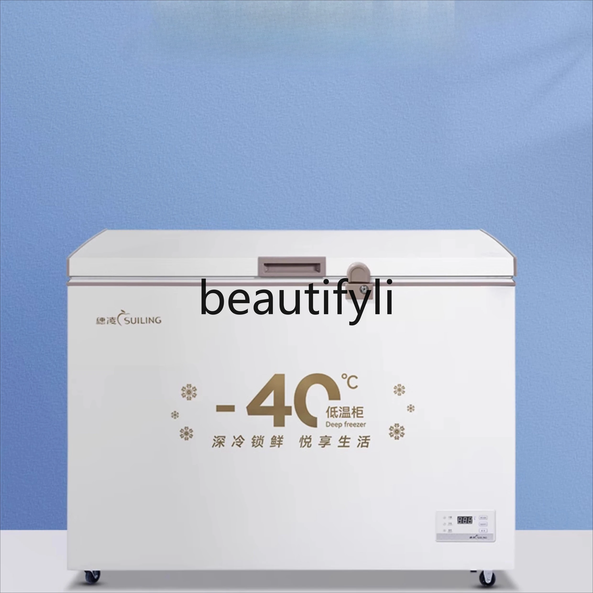 

-60 Degree Low Temperature Tuna Minus 40 Degree Salmon Deep Sea Fish Freezer Blast Freezer Refrigerator