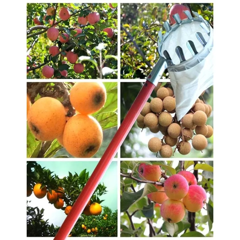M12K-Fruit Picker Tool For Pears, Peaches, And Plums Fruit Collector
