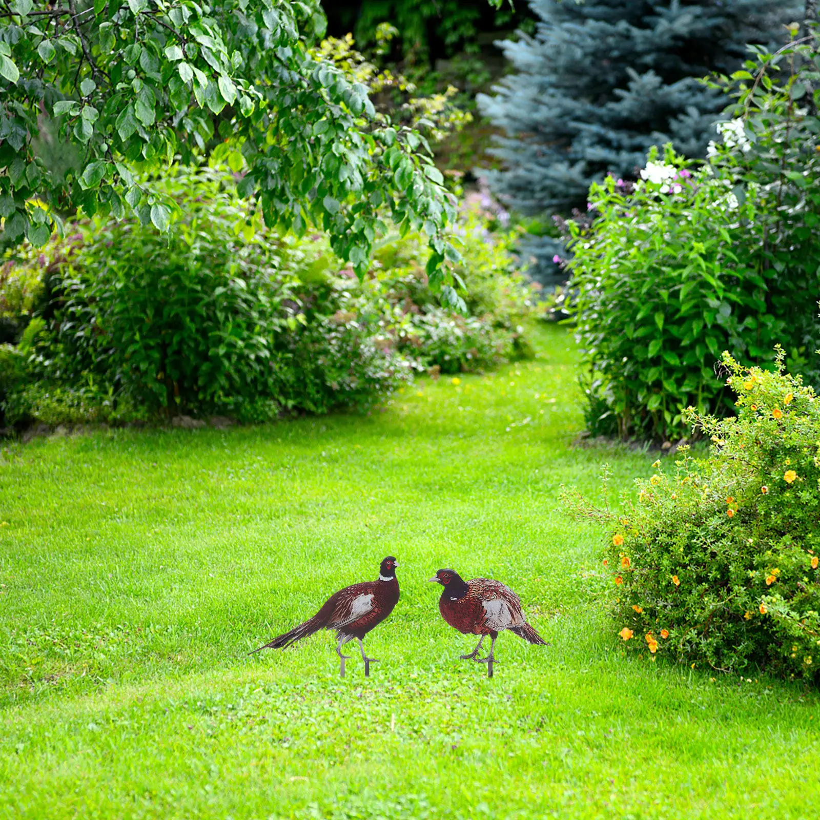 

2Pcs Pheasant Garden Stake Realistic Outdoor Lawn Yard Decoration Courtyard Acrylic Chicken Yard Ornament Pheasant Figurine
