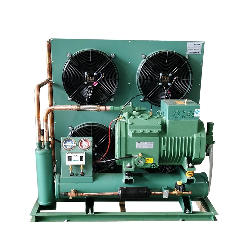 

R134A Cold Water Cooling 12V Plate Heat Exchanger DC Condensing Unit