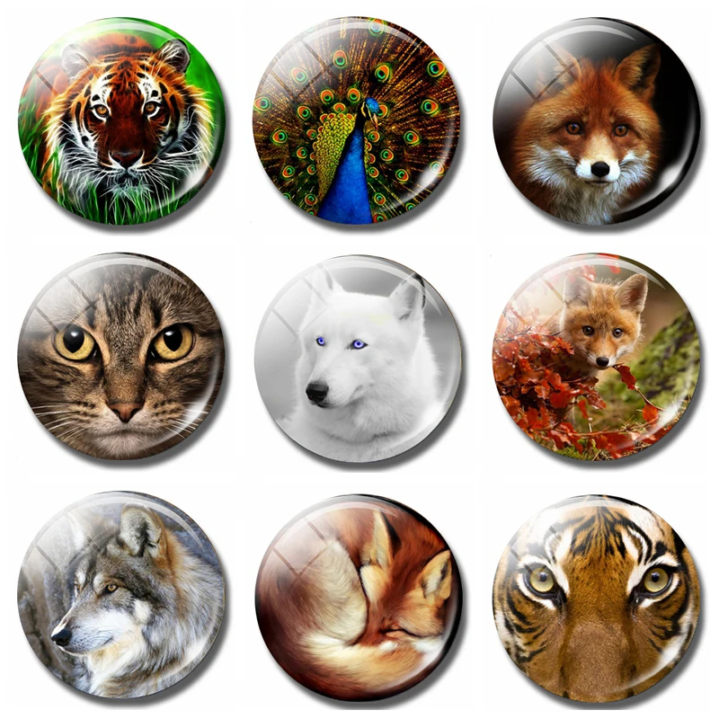 

Cartoon Animal 30 MM Fridge Magnet Tiger Peacock Fox Cat Wolf Glass Magnetic Refrigerator Stickers Note Holder Decor