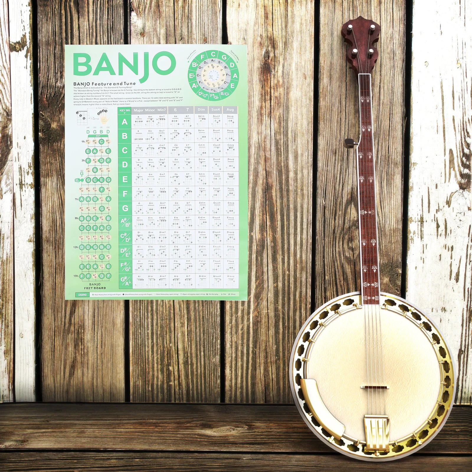 

Banjo Chord Chart Beginner Portable Banjo Fingering Chart Quick Reference Learning Poster for Beginner Practice