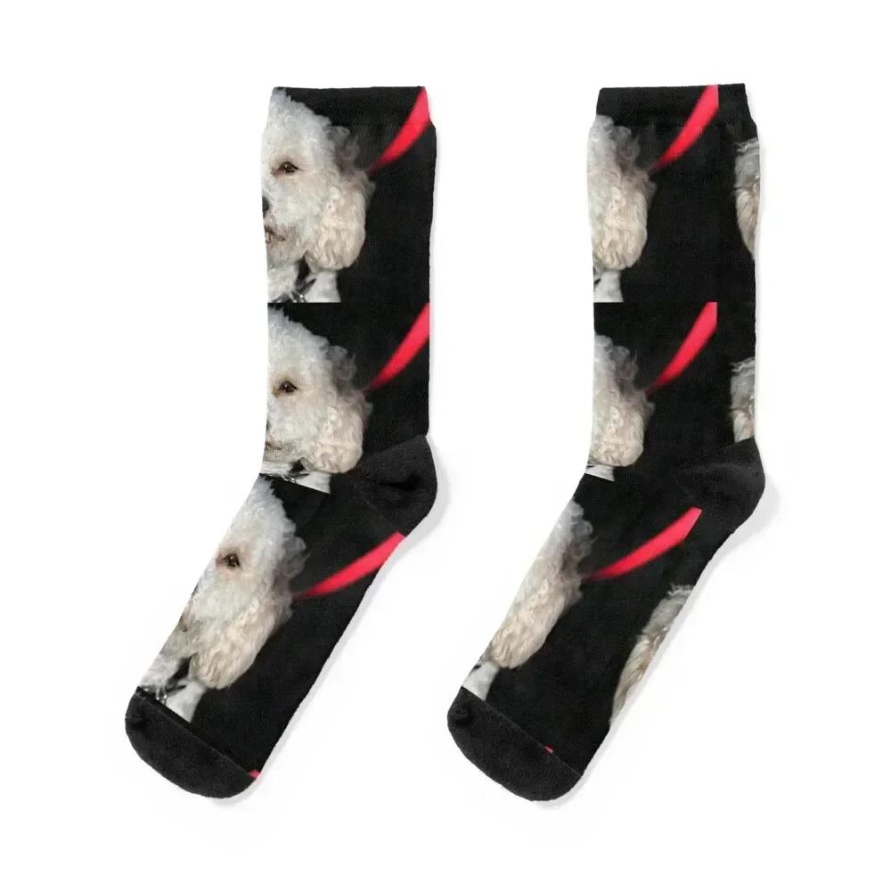 

Cavachon. Socks shoes winter thermal professional running bright garter Socks For Men Women's