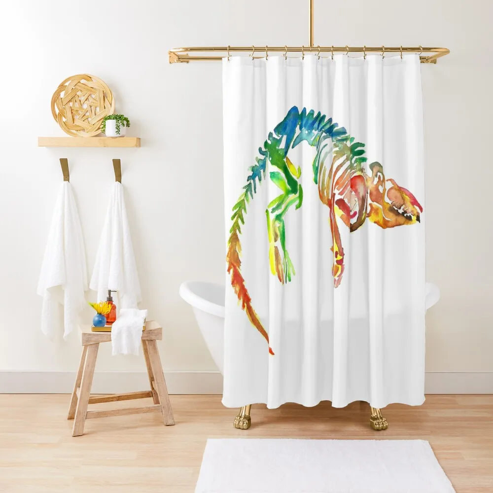 

Watercolor Fossil Skeleton in Rainbow Shower Curtain For Bathrooms With Beautiful Designs Funny Shower Bathroom Shower Curtain