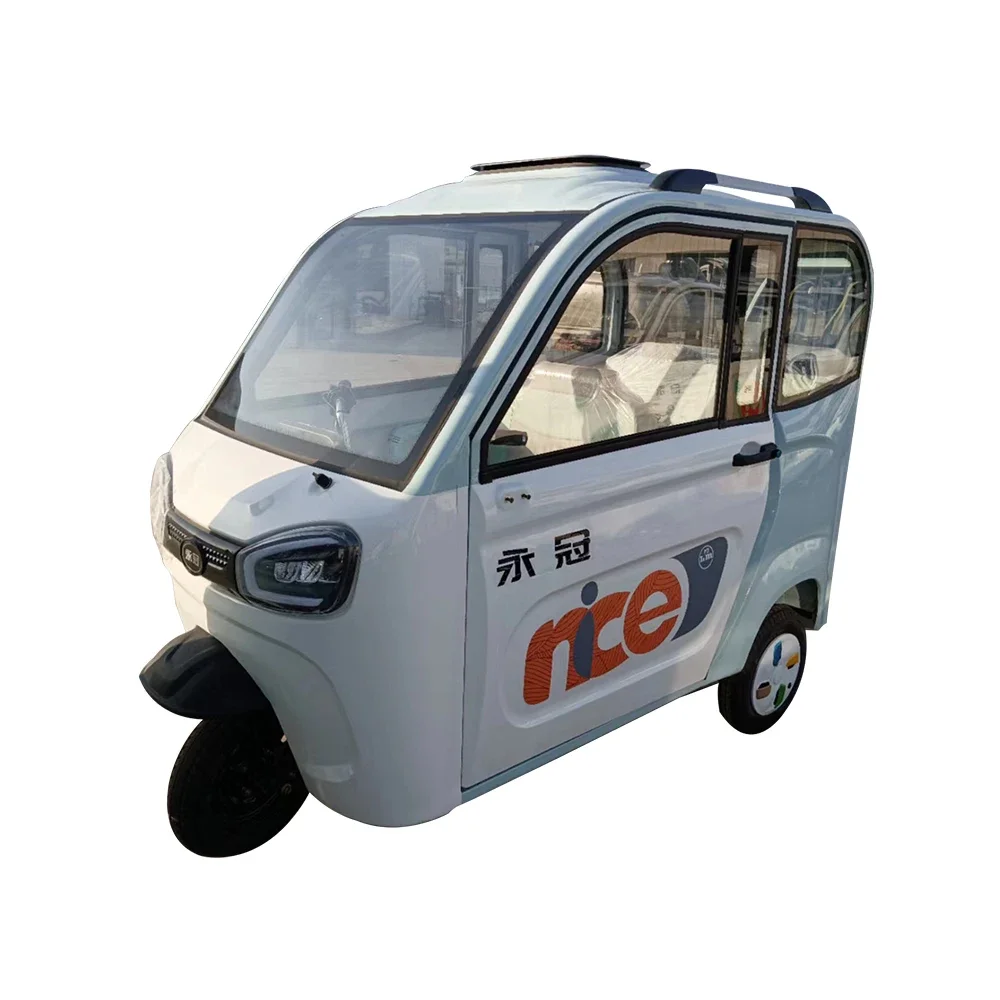 Mini New Energy Three Wheels Car Fully Enclosed Mobility Electric Tricycle For Old People