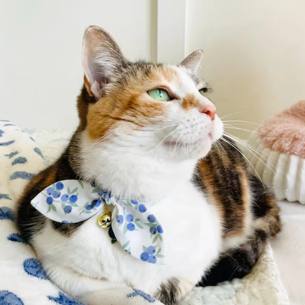 Katzenhalsband mit Schleife, Blaubeeren und Glockenanhänger, niedliches, sanftes Haustier-Katzenhalsband, rutschfeste Schnalle für Katzenleine, dekoratives Zubehör – Detail 5