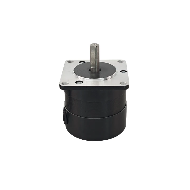 57mm 맞춤형 35w 3000rpm 신형 소형 3상 24v 4극 BLDC 모터 브러시리스 모터