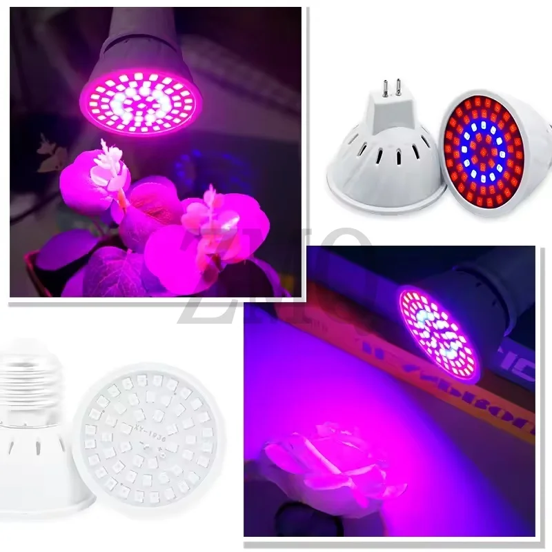 Led تنمو لمبة 220 فولت E27 48 60 80 المصابيح الطيف الكامل LED النبات الدفيئة المائية النمو ضوء نبات داخلي فيتو زهرة مصباح