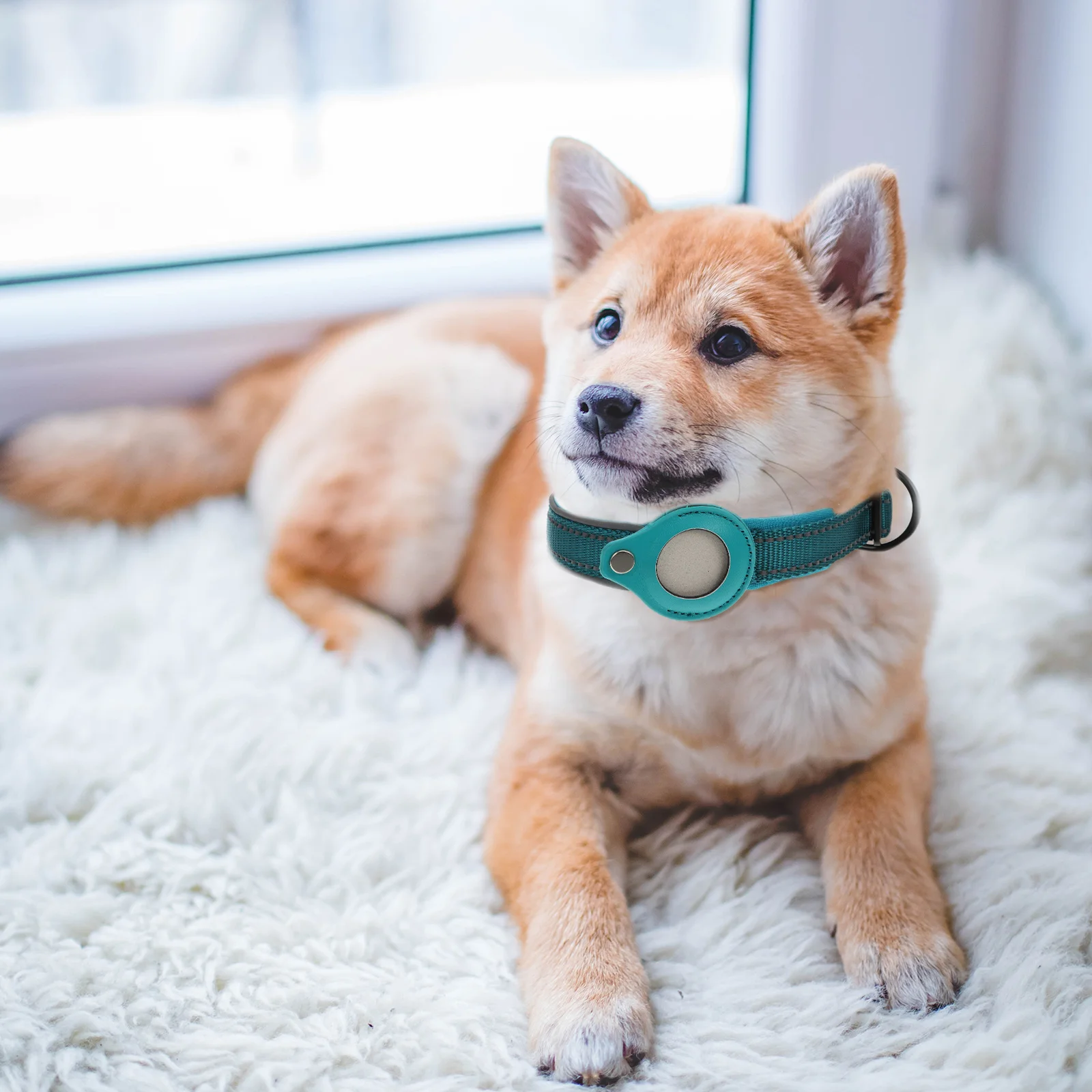 

Pet Protector Anti lost Tracker Case Durable Nylon Reflective Design Waterproof Smart Accessory Dog Collar