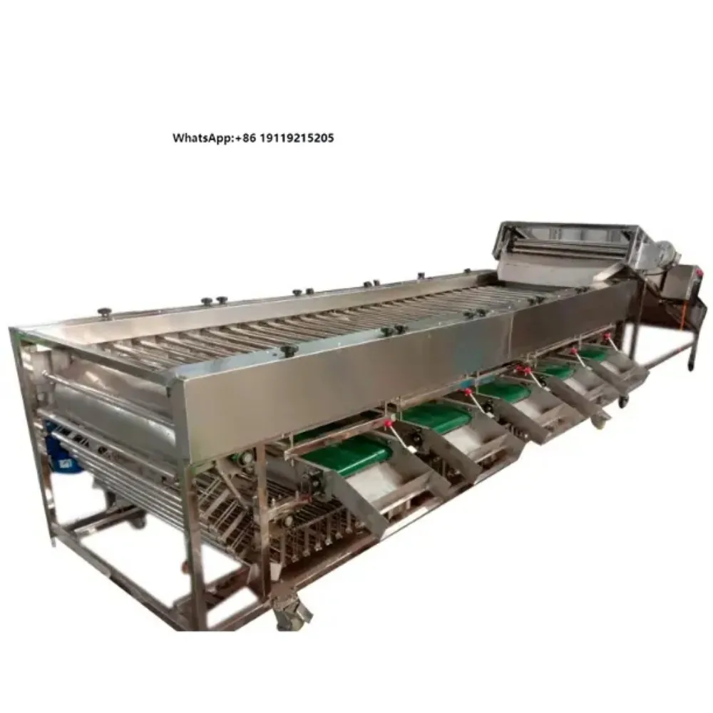 High Quality Vegetable Grader Machine for Sale