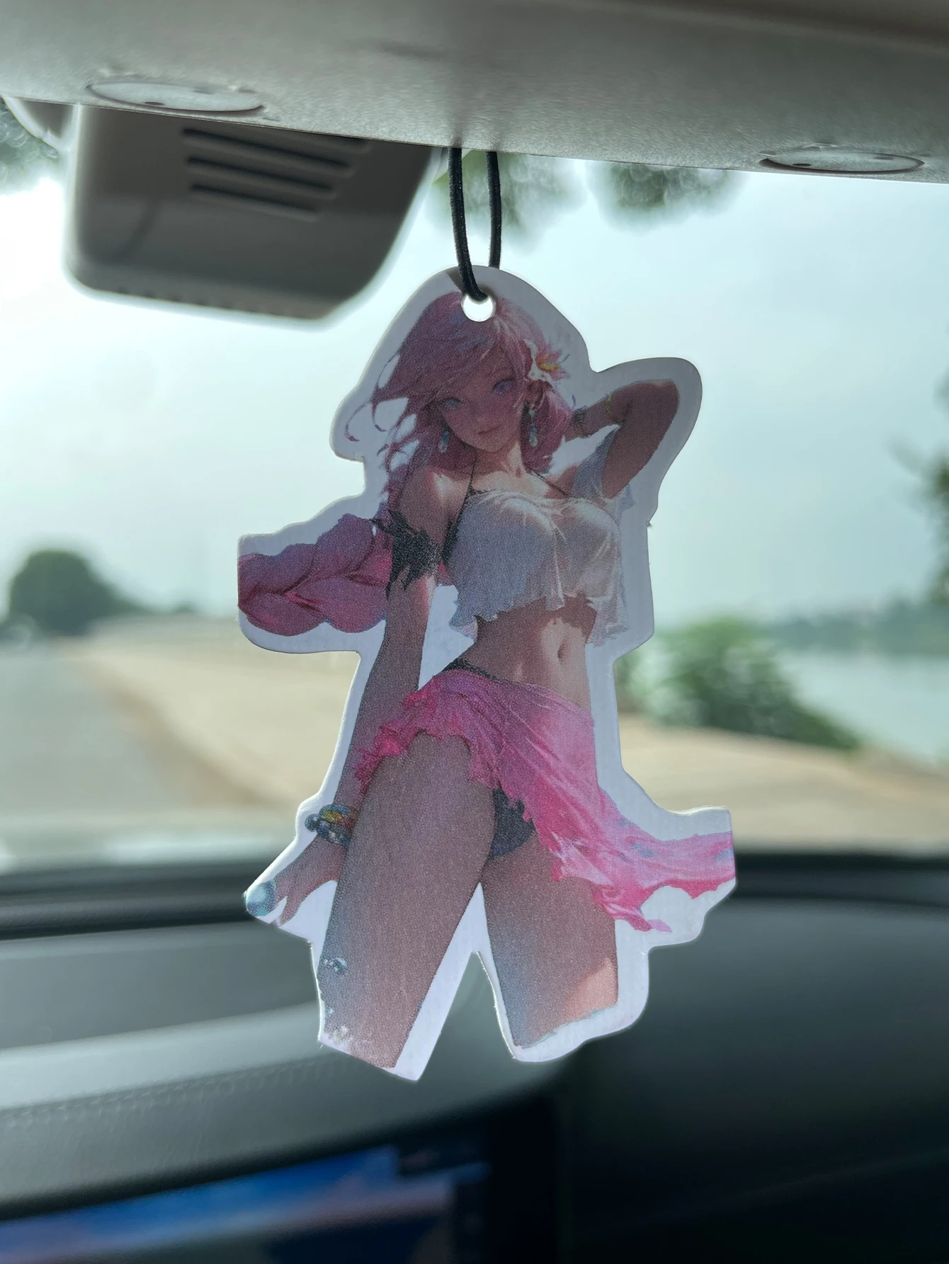 Cartoon Girl/Hilton Fresh Fragrance Five-Star Neutral Car Perfume and Non-Toxic Air Freshener |   Natural Essential Oils and Aromatherapy Scent Tablets (Noroili/Grapefruit/Cedar) |   Hanging Type and Dual-Purpose with Vent Clip |   Long-Lasting Fragrance for 60-90 Days |   Deodorize and Purify the Air |   Suitable for Use in Cars, Homes, Wardrobes, and Bathrooms. |   Same Fragrance as the One Sold in the Store