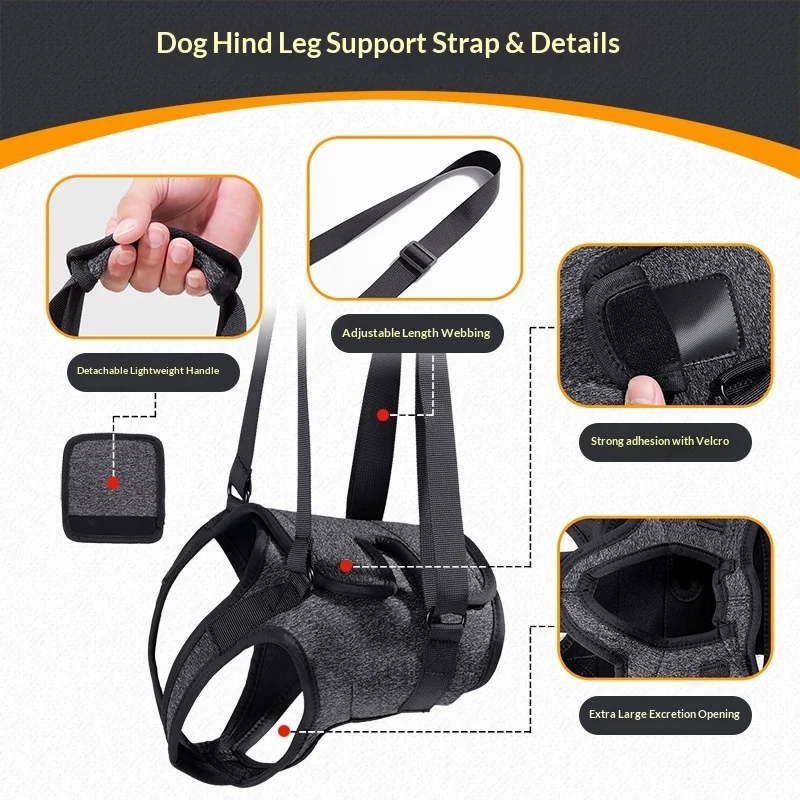 Hunde-Stützgurt der 2. Generation – rutschfeste Hüftwickel für gleichmäßige Gewichtsverteilung, Rehabilitation und Reisehilfsgürtel (CE-zertifiziert) ​