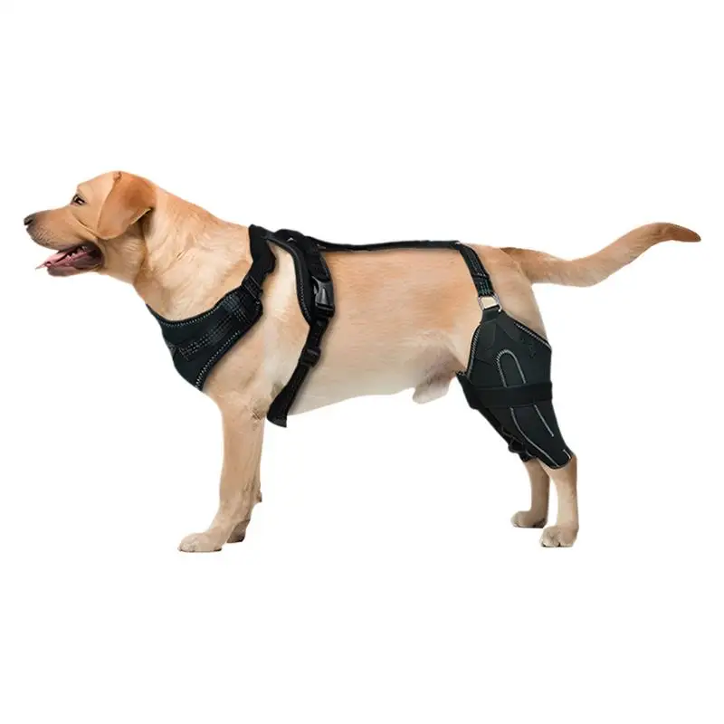 

Knee Brace For Dogs Back Leg Adjustable Rear Leg ACL Brace Dogs Back Leg Support Back Leg ACL Brace For Dogs Torn ACL Rear Leg