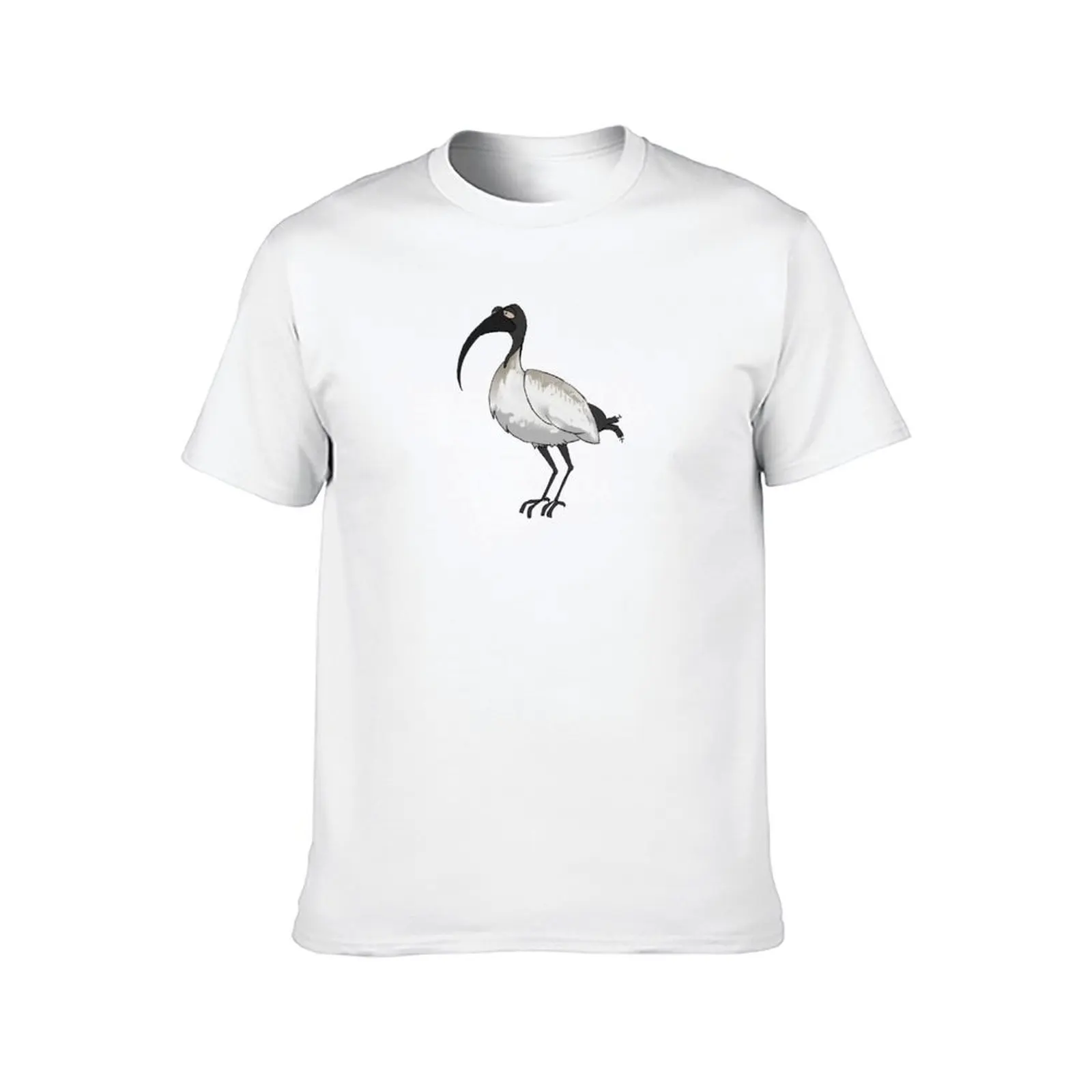 Sacred Ibis T-Shirt t shirt man cotton t shirts for man pack white T-Shirt