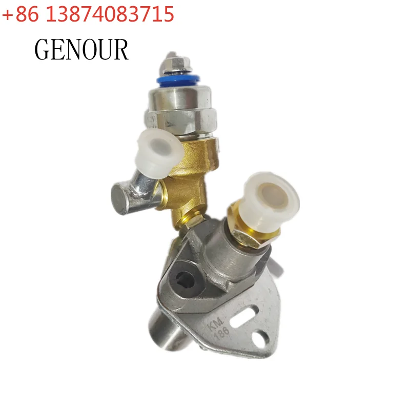 

FUEL INJECTOR PUMP ASSY FOR YANMAR 186F 186FA DIESEL FREE POSTAGE 5KW 5.5KW GENERATOR CULTIVATOR INJECTION WITH SOLENOID VALVE