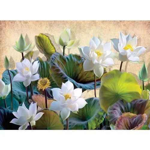 Nova Jigsaw Puzzle 1000 Piece White Lotus Flowers Puzzle