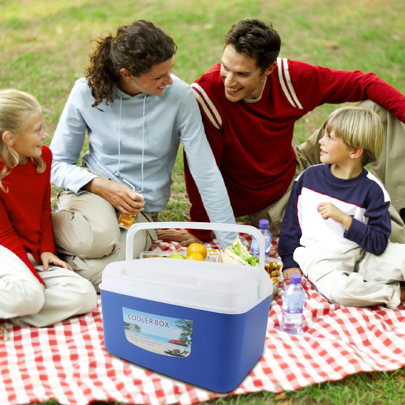 8L Insulated Portab…