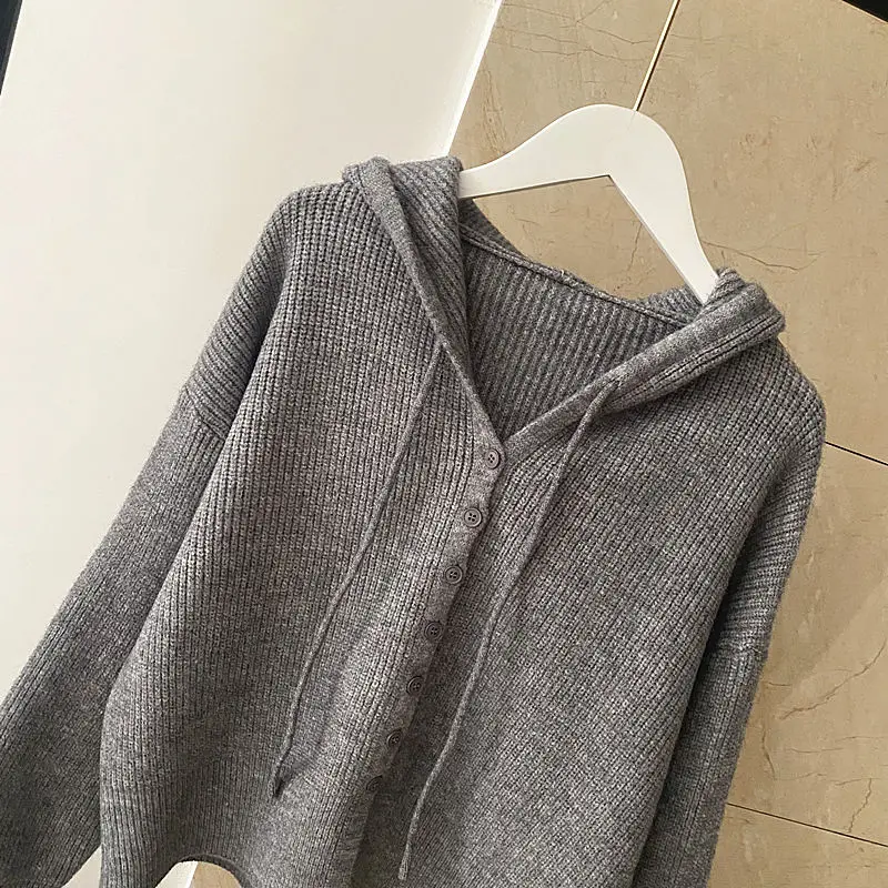 2024 Autumn Winter New Gentle Fashion Small Hoded Sweater Women Loose Thin Early Autumn Cardigan Blouse Short Style Women\'s Wear