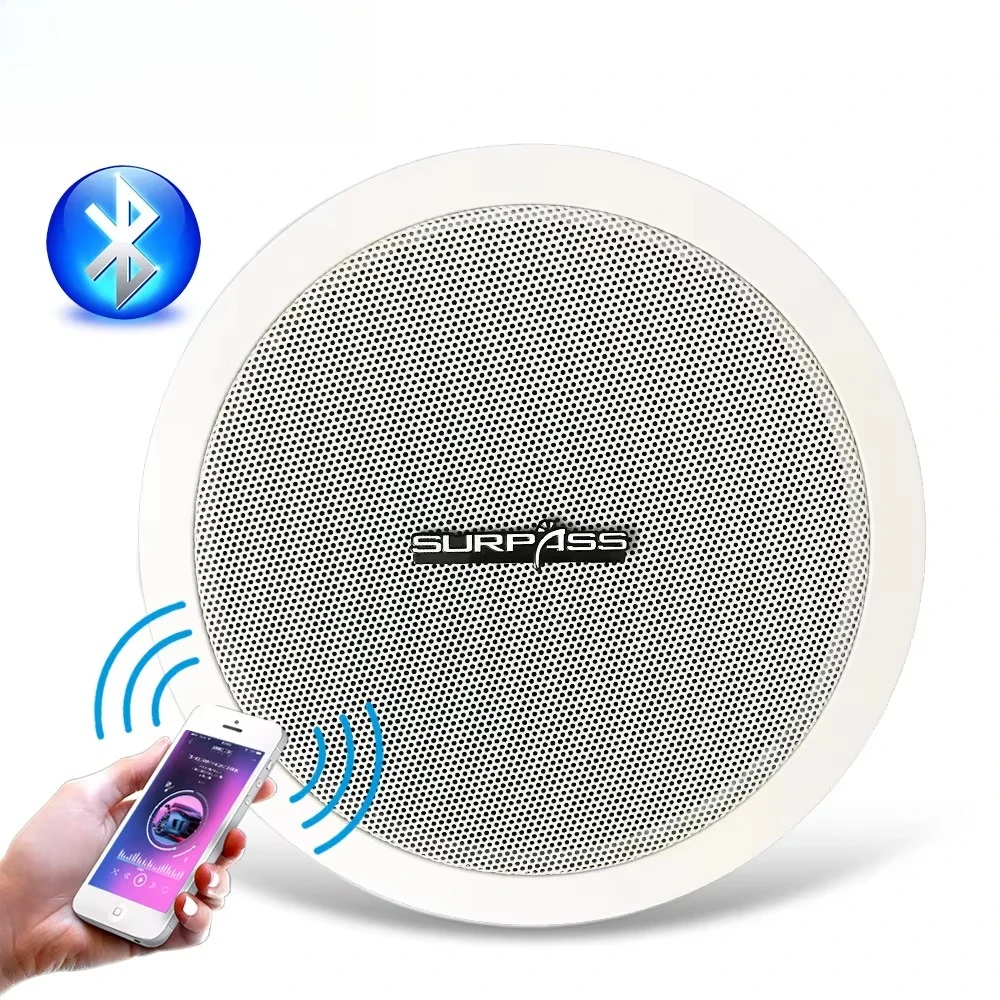 Рисунок 2 - Встроенный усилитель класса D