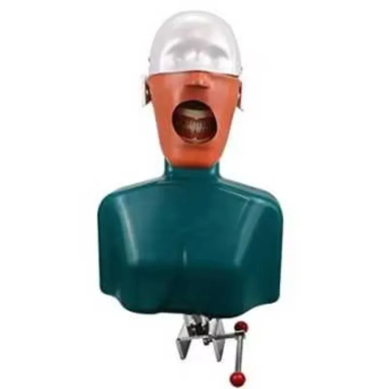 

YTYIN Advanced Phantom Teaching Model Simulator Unit Desktop Practice Model Training Simula