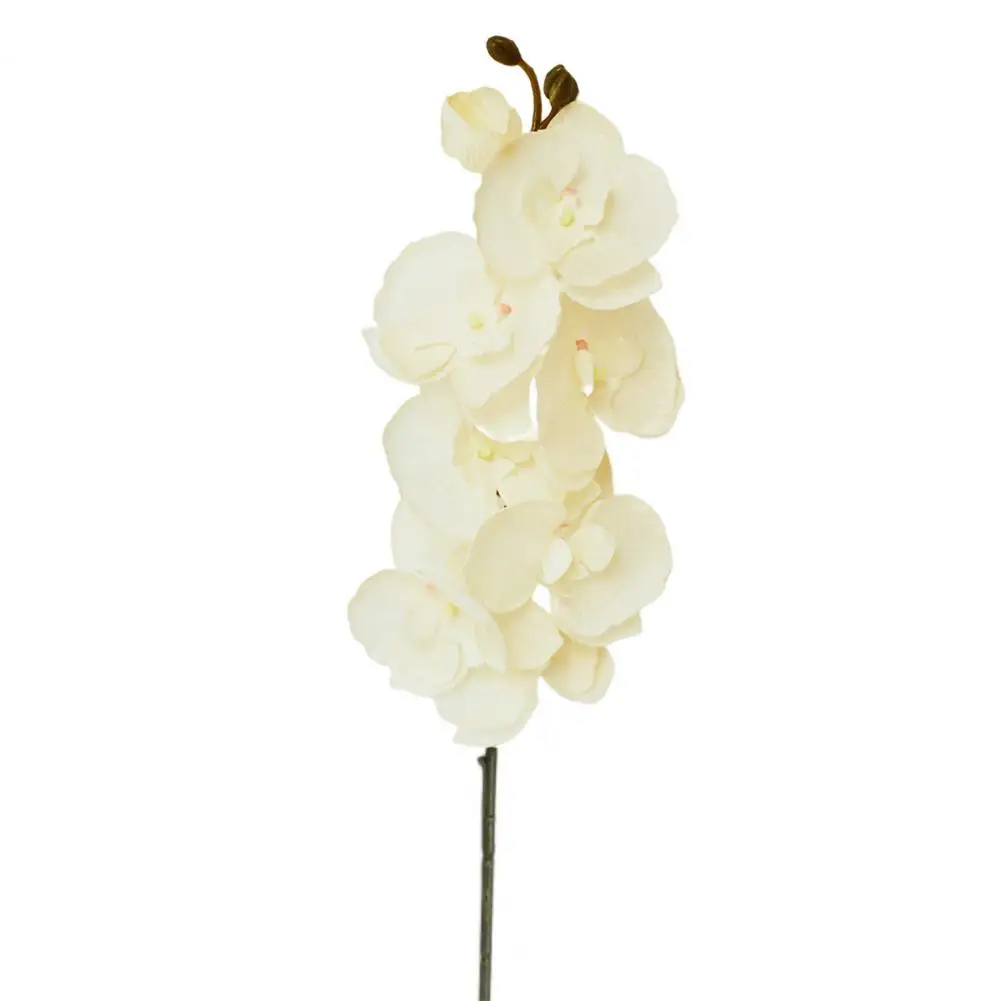 Fancy Faux Butterfly Orchid  Fine Workmanship Vibrant Color Artificial Flower  Real Touching Faux Butterfly Orchid