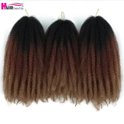 Marley Twist Braids Hair 14 Inch Synthetic Afro Kinky Curly Crochet Hair For Women Marley Braiding Hair Extensions