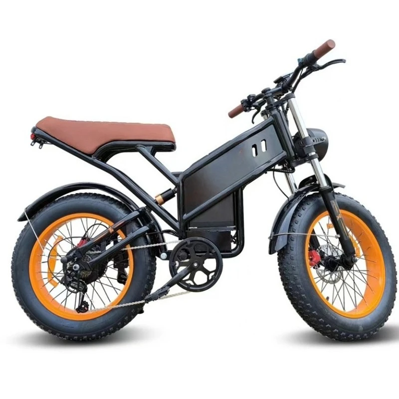 V5 electric motorcycle 55 km range adult electric bicycle 20Ah electric off-road vehicle