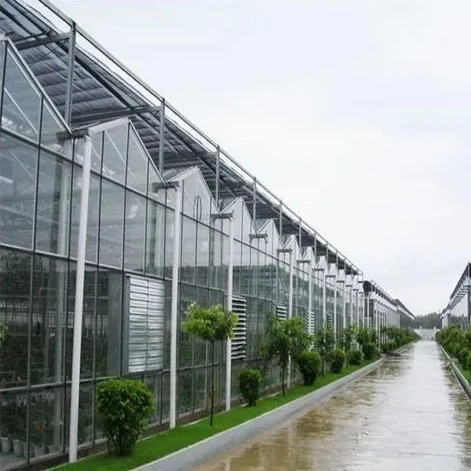 

Customized greenhouseSmart Hydroponic Agricultural Glass Greenhouse Supply for Vegetable/Flowers/Fruit Selling to Europe/America