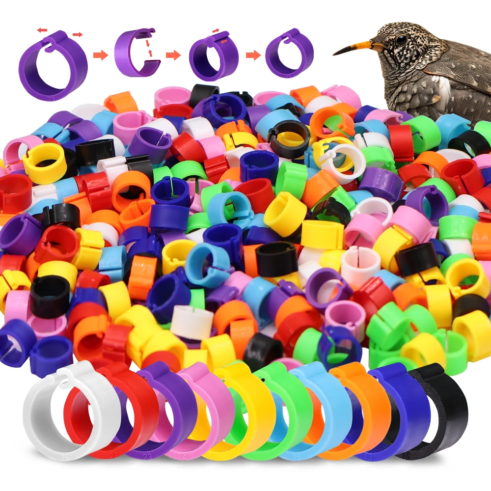 100 Uds Mini 8mm anillos para pies de pájaros bandas para piernas de Paloma Clips sin letras en las piernas para loros pollitos Paloma Bantam codorniz Lovebirds Finch