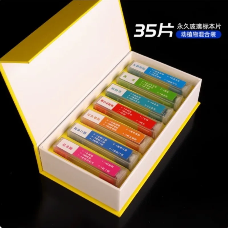 Biology 30-200PCS Prepared Biological Basic Science Microscope Glass Slides School and Laboratory English Label Teaching Samples