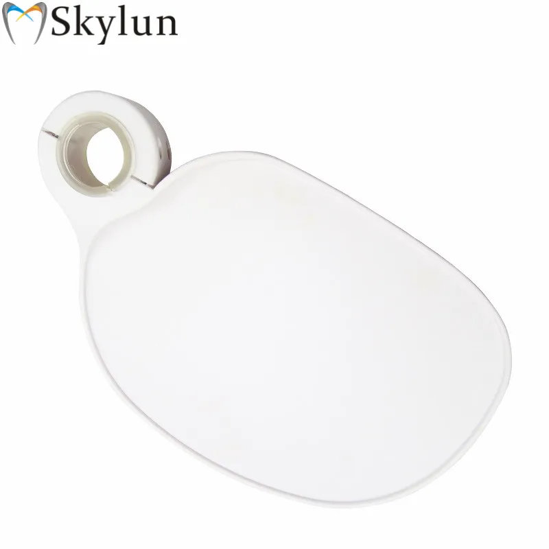 

SKYLUN 2PCS Dental Scaler Tray lamp-posts pallet Placed Additional Units Chair Unit Leaf shade tray dental plastic pallet SL1302