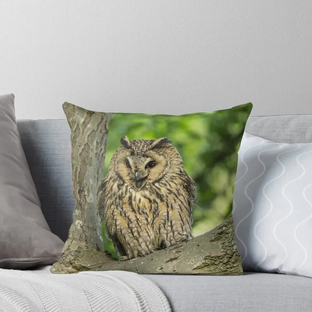 Long Eared Owl, Gauntlet Birds of Prey Throw Pillow Cushion Cover Set Cushion Covers For Living Room pillow