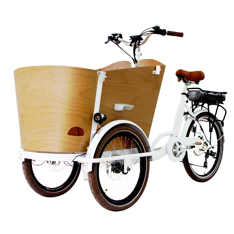 

3 Wheel Electric Bicycle For Sale Retro E-cargo Bike Factory Sale Directly For Carrying Kids Or Pets