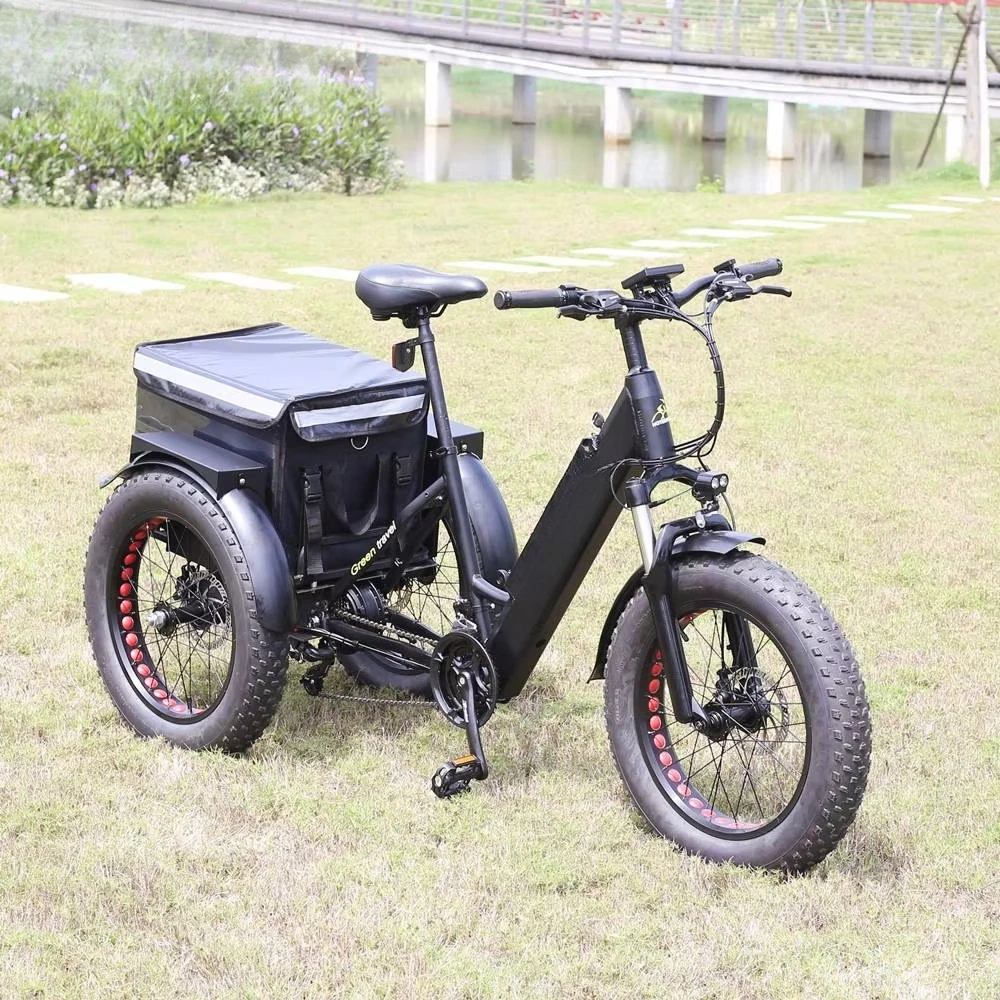 

3-колесный электрический трехколесный велосипед 36 В 48 В электрический велосипед 250 Вт 350 Вт 500 Вт 750 Вт мотор солнечный грузовой электрический трехколесный велосипед